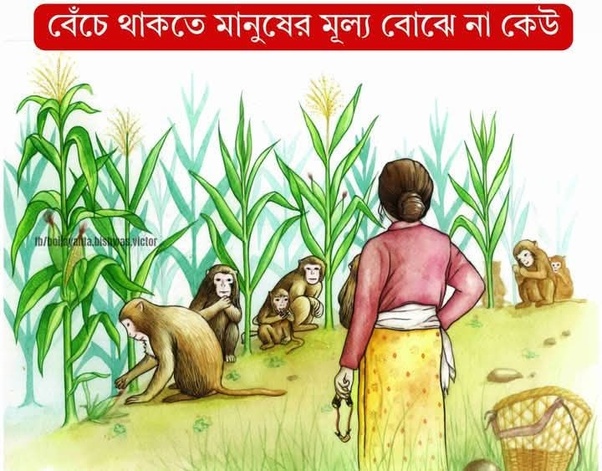 ম