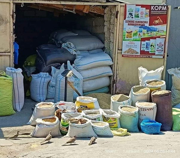 হ